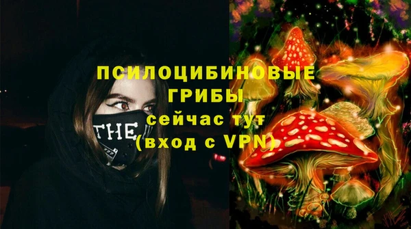 PSILOCYBIN Алексин