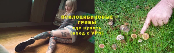бошки Алексеевка
