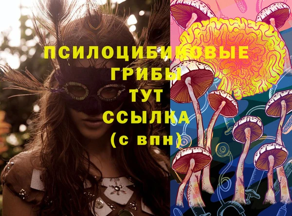 хмурый Алзамай