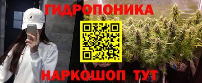 крисы Абинск