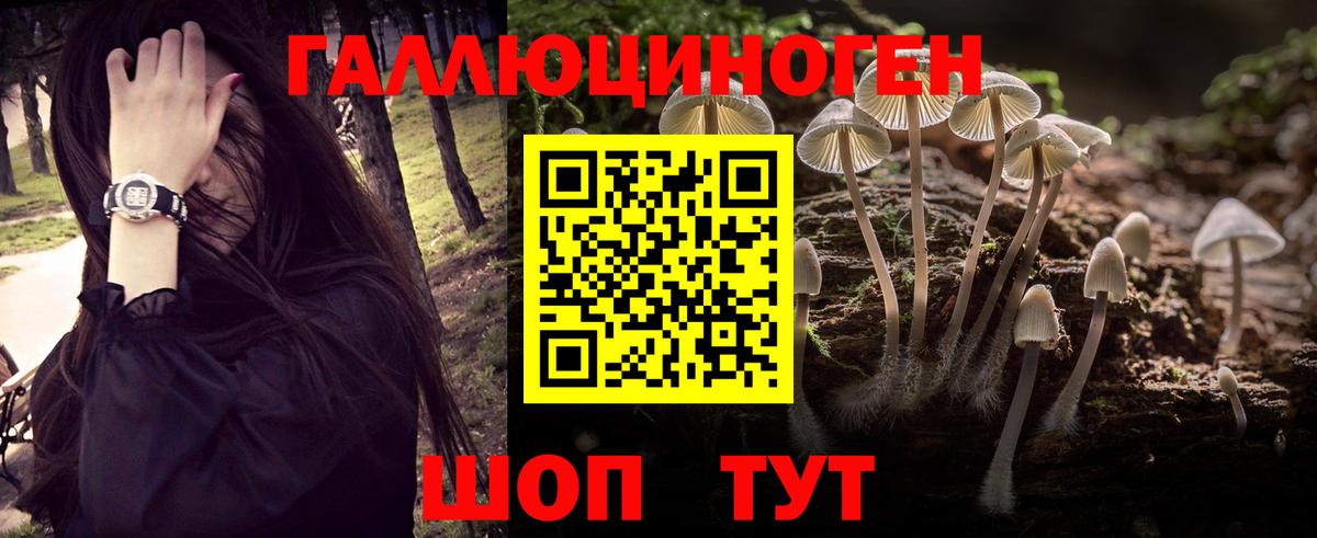 Псилоцибиновые грибы мухоморы  сколько стоит  Ангарск  Вход с VPN 